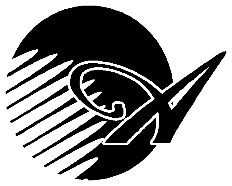 اسکی رایانه